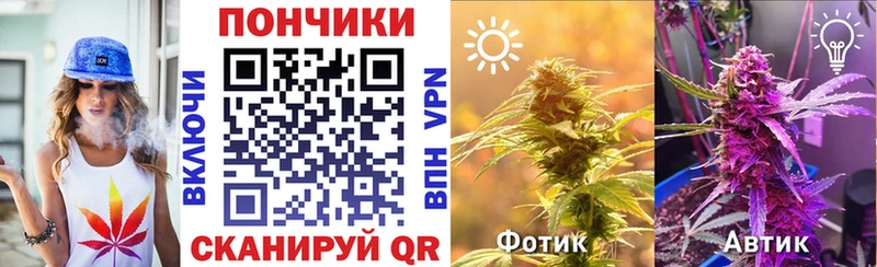 Шишки марихуана гибрид  цены наркотик  Волгоград 